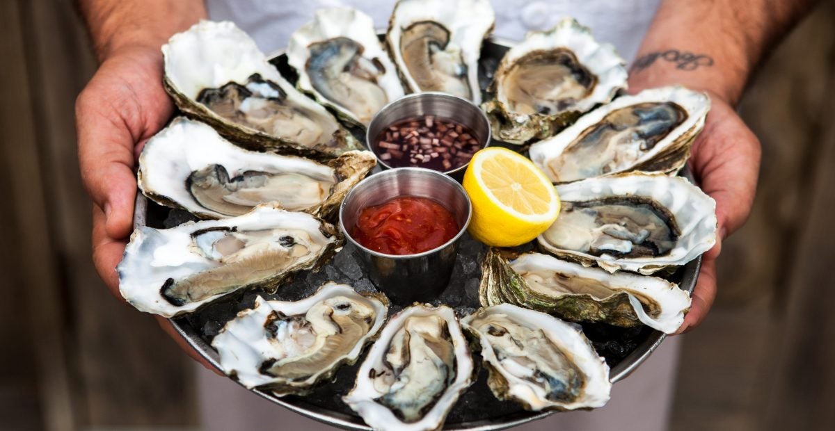 The Best Oyster Happy Hours in Los Angeles Discover Los Angeles